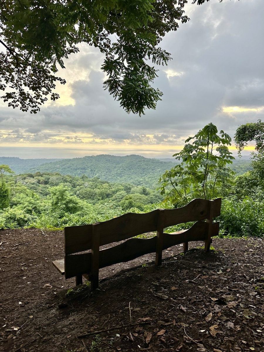 a wooden bench sitting on top of a dirt field